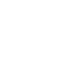 DIO IOT